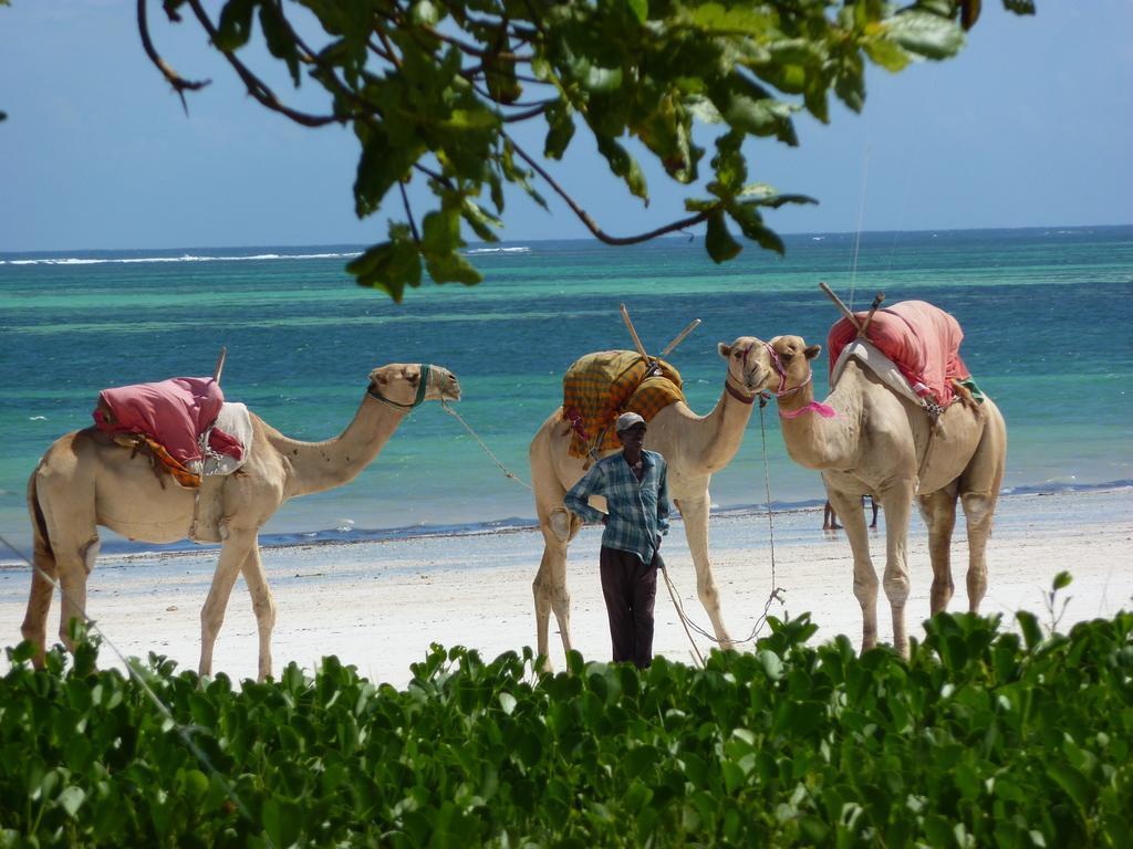 Lantana Galu Beach Diani Beach Bagian luar foto